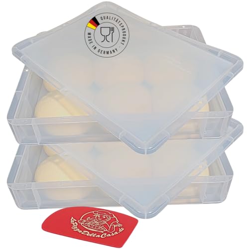 WildStage Pizzaballenbox - Gärbox für Pizzateig-Sauerteig-Hefeteig - Pizzaballenbox mit Deckel 40x30 cm - Lebensmittelechte Pizza Box Made in Germany (Transparent, 2 Boxen mit 2 Deckeln) von WildStage
