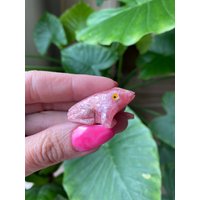 Rhodochrosit Frosch von WildandFreePeople