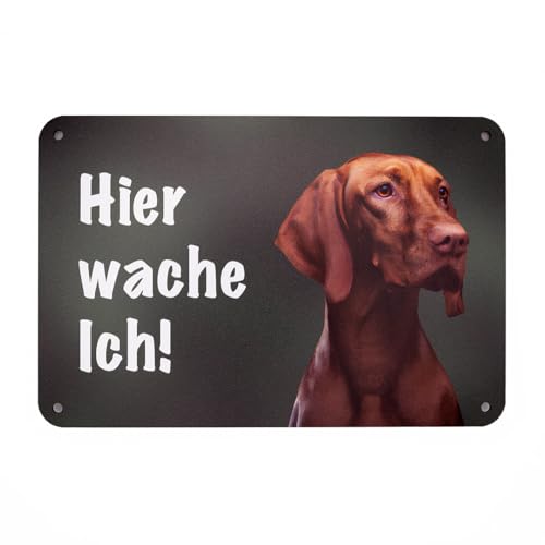 Magyar Vizsla - Hier wache ich! Gartenzaun Schild, Warnung vor dem Hunde, Hundeschild zum Befestigen am Zaun Magyar Vizsla - Hier wache ich! Gartenzaun Schild, Warnung vor dem Hunde, Hundeschild zum Befestigen am Zaun von Wilde Hilde Original
