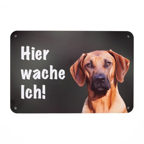 Rhodesian Ridgeback - Hier wache ich! Gartenzaun Schild, Warnung vor dem Hunde, Hundeschild zum Befestigen am Zaun. von Wilde Hilde Original
