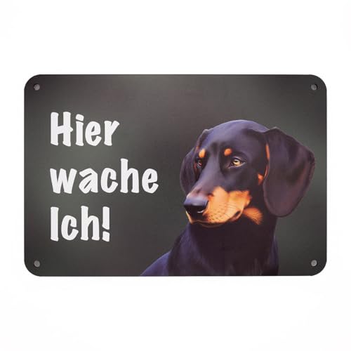 Slovensky Kopov - Kopov Bracke - Hier wache ich! Gartenzaun Schild, Warnung vor dem Hunde, Hundeschild zum Befestigen am Zaun. Slovensky Kopov - Kopov Bracke - Hier wache ich! Gartenzaun Schild, Warnung vor dem Hunde, Hundeschild zum Befestigen am Zaun. von Wilde Hilde Original
