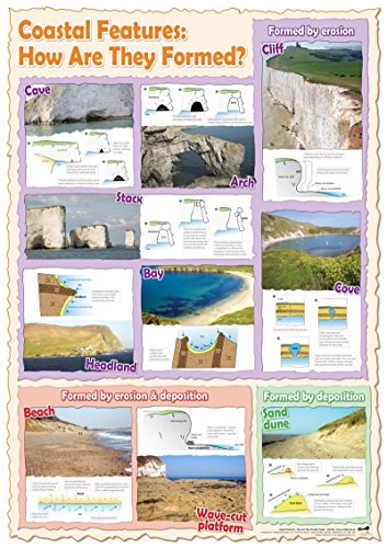 Wildgoose Education, WG4382 Coastal Features Poster von Wildgoose Education