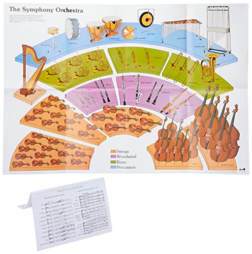 Wildgoose Education MU2201 The Symphony Orchestra Poster (100 x 70 cm) von Wildgoose Education