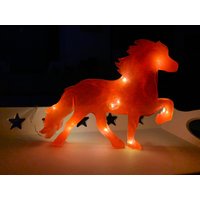 Isländer Lampe Lämpchen Tölter Isi Deko Beleuchtung Epoxidharz Resin Pferd Led Pferdelampe Nachtlicht Isländer Lampe Lämpchen Tölter Isi Deko Beleuchtung Epoxidharz Resin Pferd Led Pferdelampe Nachtlicht von WildholzdesignPW