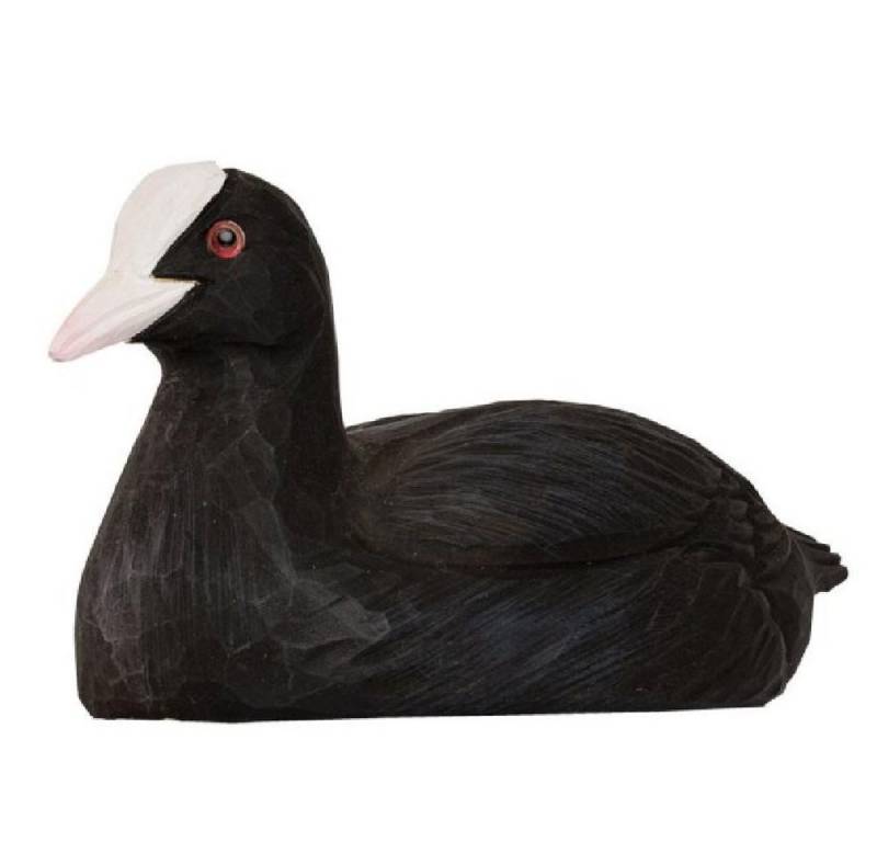 Wildlife Garden Flaschenöffner Flaschenöffner Bläßhuhn Kapselheber Wildlife Garden Flaschenöffner Flaschenöffner Bläßhuhn Kapselheber von Wildlife Garden