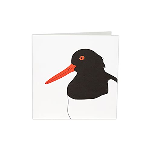 Wildlife Garden Karte Austernfischer Wildlife Garden Karte Austernfischer von WILDLIFEGARDEN