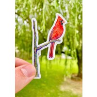 Kardinal Magnet Ornithologie Schönen Roten Vogel Für Ihren Kühlschrank, Lkw, Auto, Werkzeugkiste, Boot Oder Andere Metalloberfläche von WildrLife