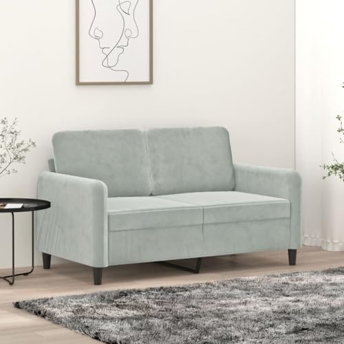 Willood 2-Sitzer Sofa, Loungesofa Couch mit Armlehnen Rückenkissen, Wohnzimmersofa Designsofa Metallgestell, Sitzmöbel Zweisitzer Hellgrau 120 cm Samt von Willood