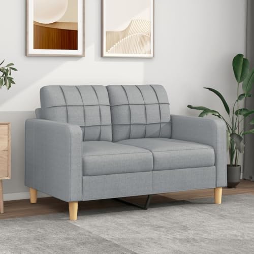 Willood 2-Sitzer-Sofa Hellgrau 120 cm Stoff Sofa mit Armlehnen und weichen Kissen, geeignet für Wohnzimmer, Holzbeinen von Willood