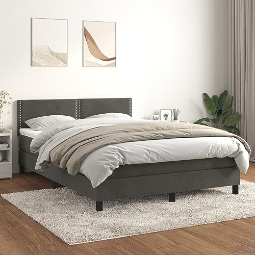 Willood Boxspringbett mit Matratze Dunkelgrau 140x200 cm SamtFlach mit Nägeln von Willood