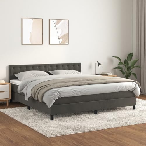 Willood Boxspringbett mit Matratze Dunkelgrau 180x200 cm SamtKnöpfe von Willood