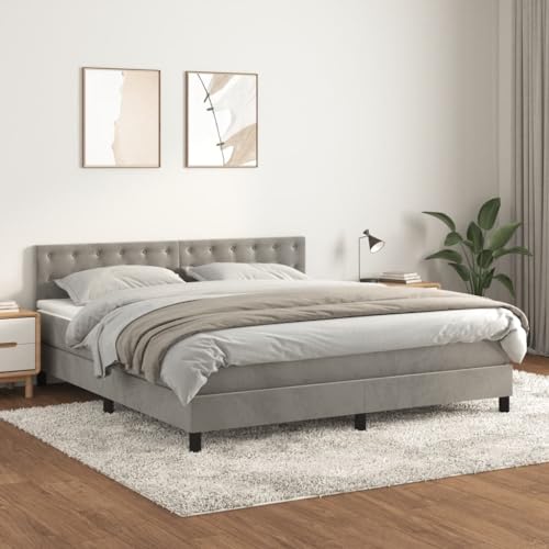 Willood Boxspringbett mit Matratze Hellgrau 160x200 cm SamtKnöpfe von Willood
