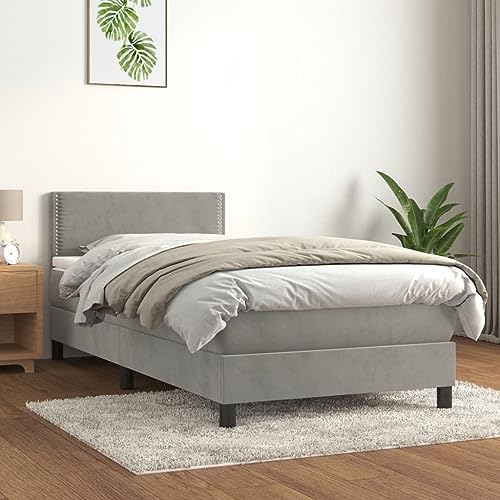 Willood Boxspringbett mit Matratze Hellgrau 90x200 cm SamtFlach mit Nägeln von Willood