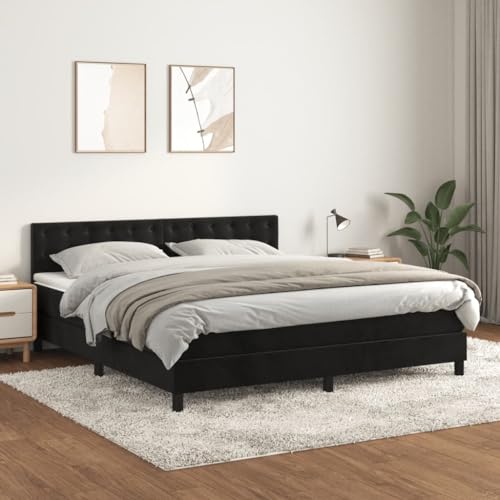 Willood Boxspringbett mit Matratze Schwarz 160x200 cm SamtKnöpfe von Willood