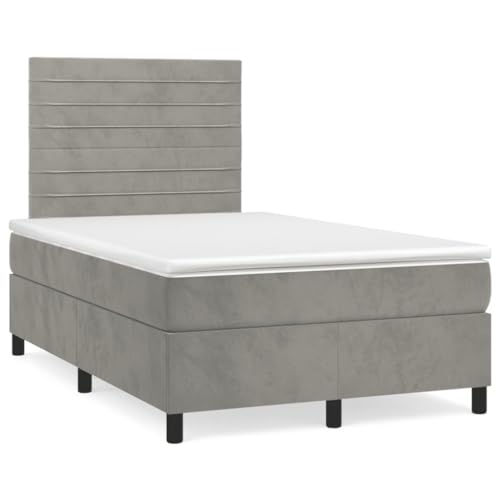 Willood Boxspringbett mit Matratze & LED Hellgrau 120x190 cm Samt Horizontale Streifen von Willood