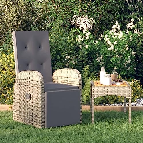 Willood Garten-Liegestuhl mit Auflage Poly Rattan Grau von Willood