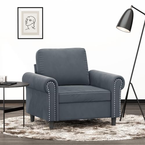 Willood Sessel, Sofa Relaxsessel mit gepolstertem Sitz Armlehnen, Fernsehsessel Loungesessel Metallgestell, Polstersessel Ruhesessel Design Sofa Stuhl Dunkelgrau 60 cm Samt von Willood