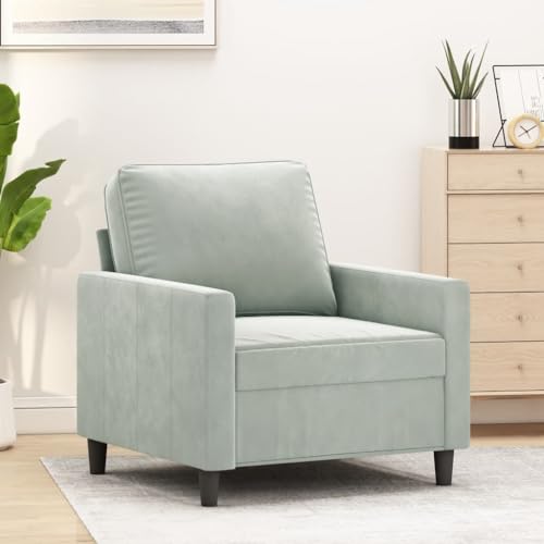 Willood Sessel Sofa Relaxsessel mit gepolstertem Sitz Armlehnen, Fernsehsessel Loungesessel mit Metallgestell, Polstersessel Ruhesessel, Hellgrau 60 cm Samt Willood Sessel Sofa Relaxsessel mit gepolstertem Sitz Armlehnen, Fernsehsessel Loungesessel mit Metallgestell, Polstersessel Ruhesessel, Hellgrau 60 cm Samt von Willood