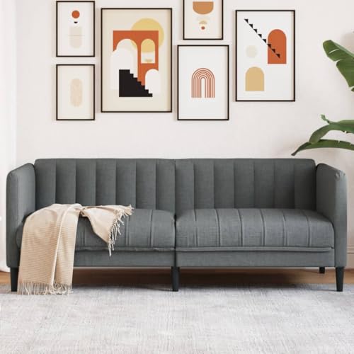 Willood Sofa 2-Sitzer Couch mit Armlehnen Rückenlehne Stützbeine, Loungesofa für Wohnzimmer, Polstersofa Sofagarnitur, Modern Dunkelgrau Stoff von Willood