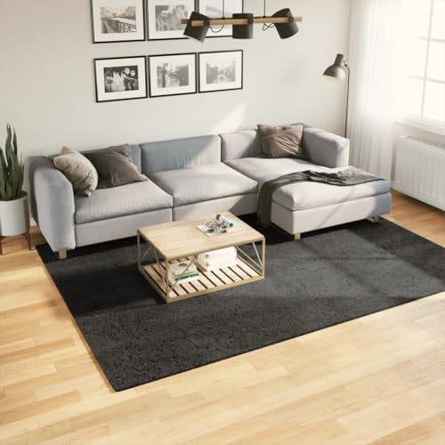 Willood Teppich ISTAN Hochflor Glänzend Anthrazit 200x280 cm Willood Teppich ISTAN Hochflor Glänzend Anthrazit 200x280 cm von Willood