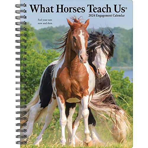 What Horses Teach Us 2024 6.5 X 8.5 Engagement Calendar von WILLOW CREEK