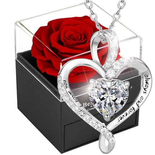 Willuck Ewige Rose Geschenkbox,Eternal Rose für Freundin,Infinity Rosen für Damen,Immer Echte Rote Rosebox Geschenke für Frauen am Valentinstag Weihnachten,Hochzeitstag,Geburtstag, Mama von Willuck