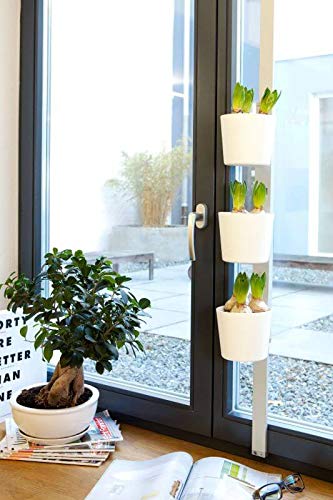 Willy's Fachmarkt Kräuer-und Pflanzenleiter Vega in weiß für Fenster von Willy's Fachmarkt