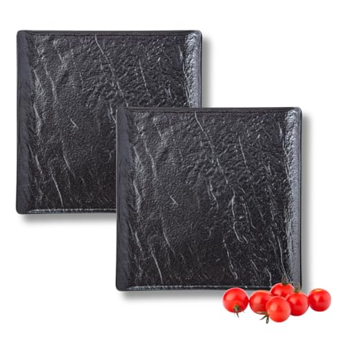 Wilmax | Quadratische Teller - 2 Stück | Steinoptik | Nicht anlaufend | Für den Backofen geeignet | Spülmaschinenfest | Für Lebensmittelkontakt | 27 x 27 cm von Wilmax England