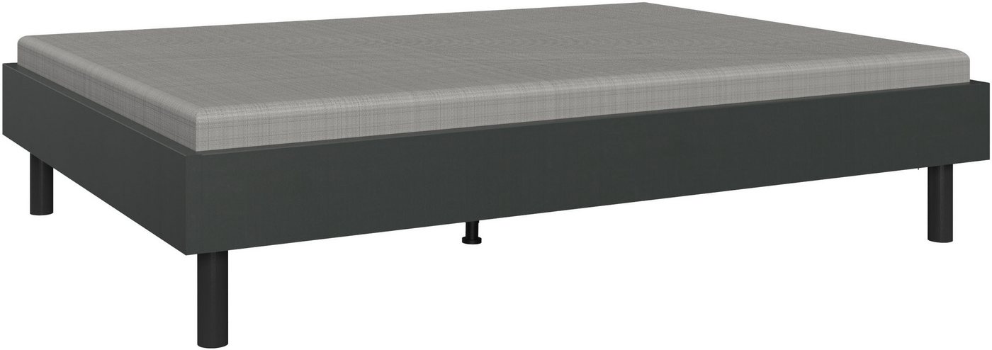 Wimex Bett Easy, große Auswahl an Größen und Farben, auch in Komforthöhe (Made in Germany), ohne Kopfteil, ideal unter Dachschrägen oder Fenster von Wimex
