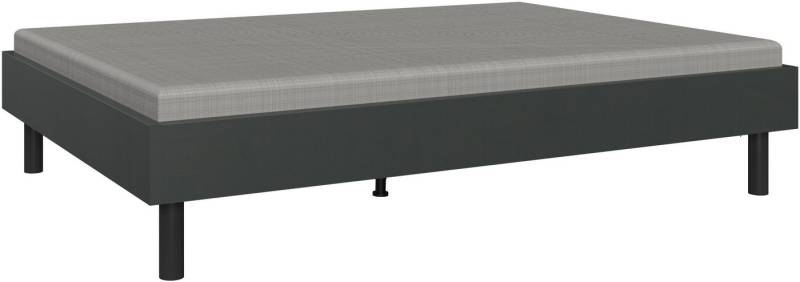 Wimex Bett Easy, große Auswahl an Größen und Farben, auch in Komforthöhe (Made in Germany), ohne Kopfteil, ideal unter Dachschrägen oder Fenster von Wimex