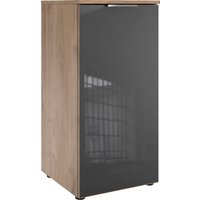 Wimex Kommode "Level36 C by fresh to go", mit Glaselementen auf der Front, soft-close Funktion, 41cm breit von Wimex