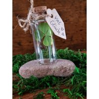 Glücksbringer, Silvester, Mitbringsel Kleeblatt, Echtes Vierblättriges Glasfläschchen, Geschenk Viel Glück von Windelzwerg