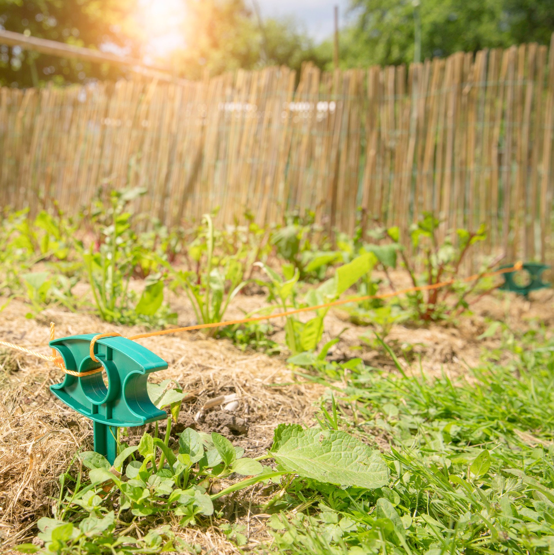 Garten- u. Pflanzenrichtschnur 15m von Windhager