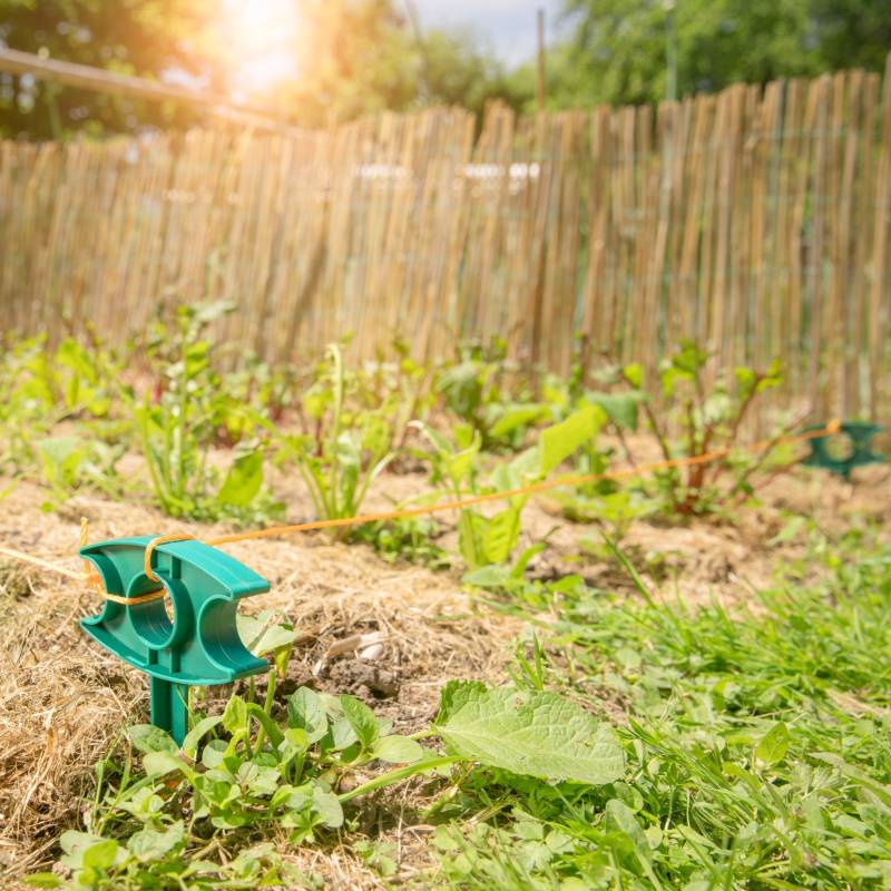 Garten- u. Pflanzenrichtschnur 15m von Windhager