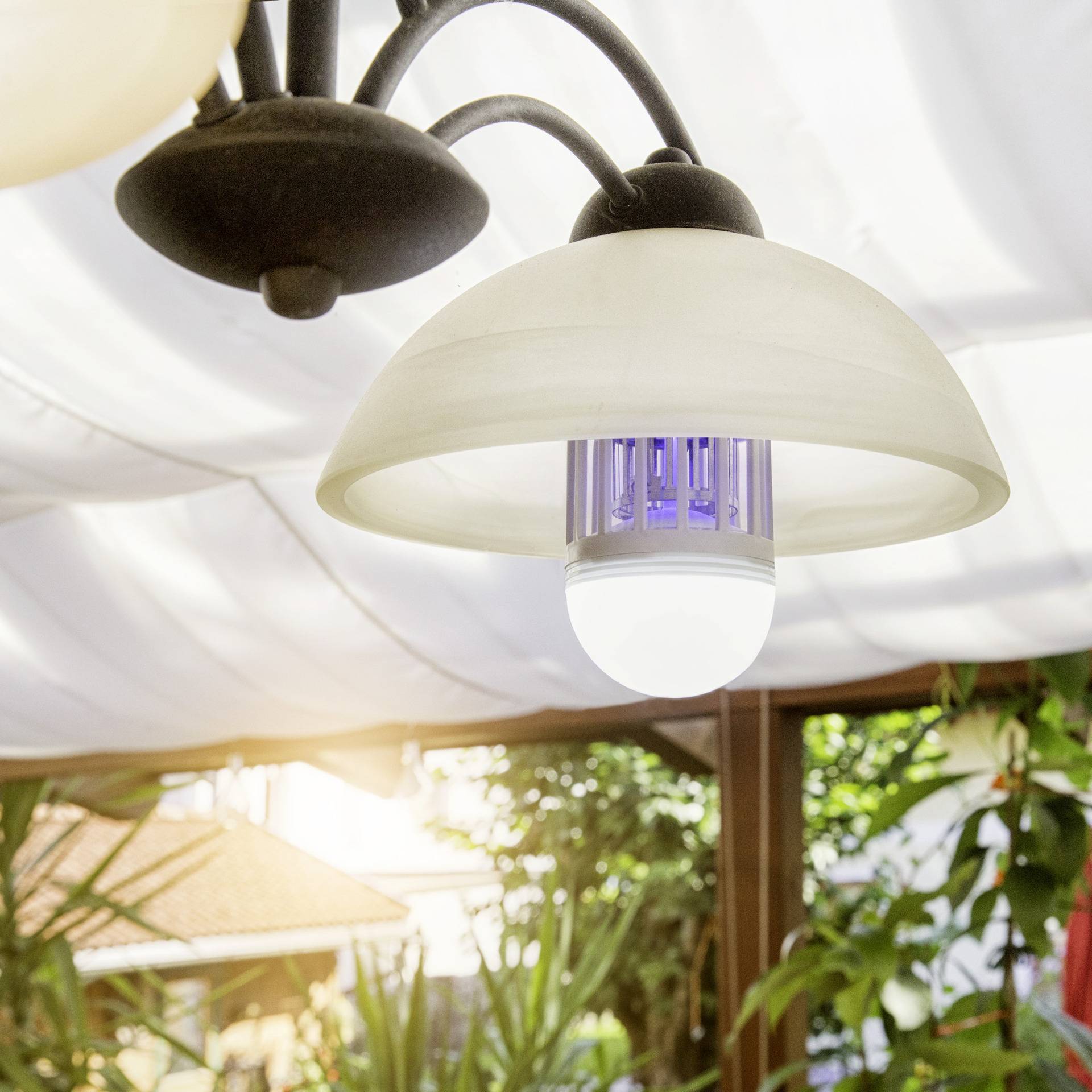 Lichtfalle-Leuchtmittel 2in1 von Windhager