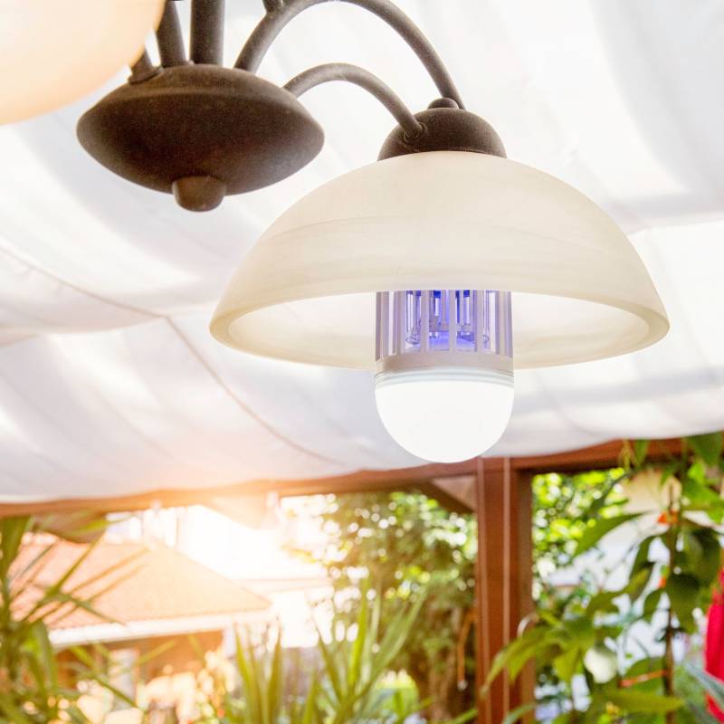 Lichtfalle-Leuchtmittel 2in1 von Windhager