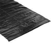 WINDHAGER Unterbodengewebe, Kunststoff, schwarz, BxL: 2 x 10 m von Windhager