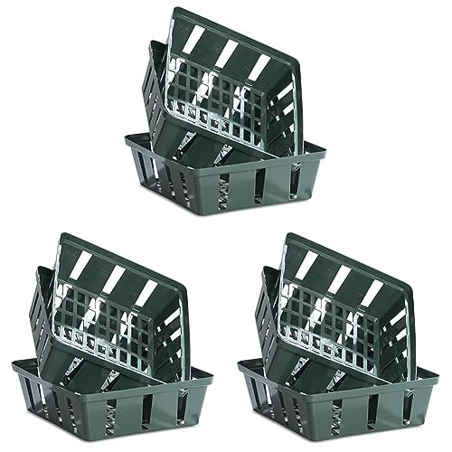 Windhager Blumenzwiebel-Schale, Pflanz-Schale, Anzucht-Schale, Zwiebel-Pflanzkorb, Blumenzwiebelkorb, eckig, 23,5 x 21 cm, 3 Stück, 05570 (Packung mit 3) von Windhager