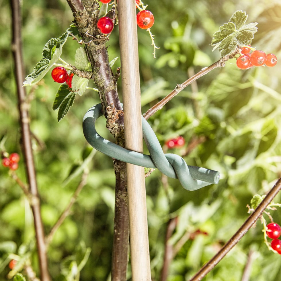 Windhager Gartendraht mit Gummimantel 5 m von Windhager