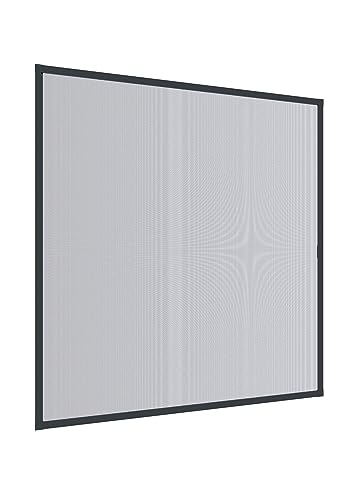 IS Expert Rahmen Fenster 100x120cm A. von Windhager