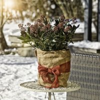 Windhager Jute-Wickelstreifen Öko rot 10 cm x 25 m, rot Wintervlies Windhager Jute-Wickelstreifen Öko rot 10 cm x 25 m, rot Wintervlies von Windhager