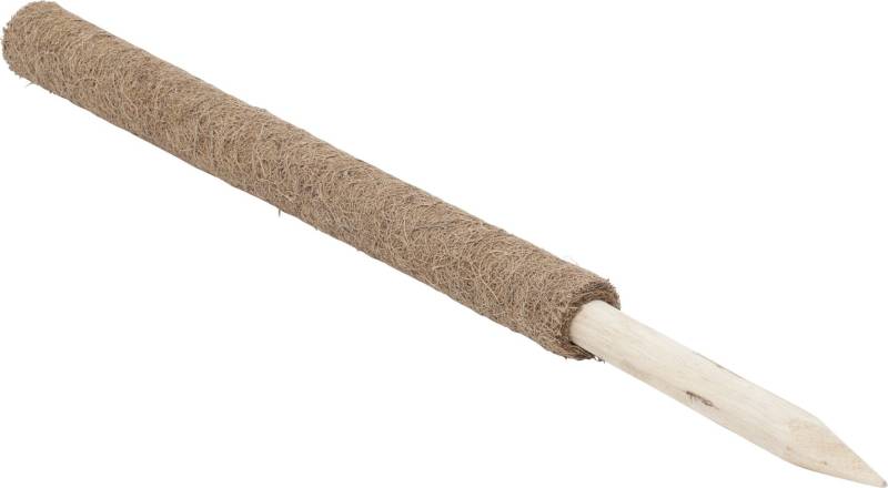 Windhager Kokos-Pflanzstab 60 cm von Windhager