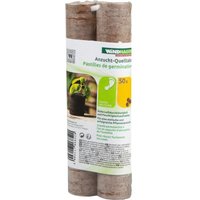 Windhager Kokosquelltabs 3,5 cm, 50 Stück Anzuchttöpfe Windhager Kokosquelltabs 3,5 cm, 50 Stück Anzuchttöpfe von Windhager