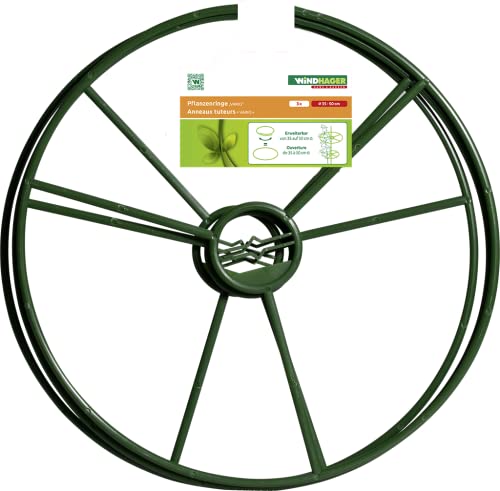 Windhager Pflanzenring Pflanzenstütze Staudenhalter Blumenstrütze Strauchstütze, grün, Ø 30 cm, 3 Stück von Windhager