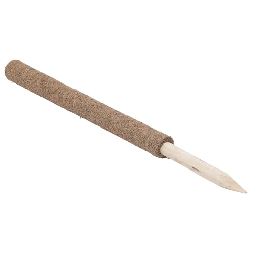 Windhager Pflanzstab Kokos, Rankstab Rankhilfe Blumenstab Kokosstab, zur Dekoration, aus natürlicher Kokosfaser, verlängerbar, 80 cm Windhager Pflanzstab Kokos, Rankstab Rankhilfe Blumenstab Kokosstab, zur Dekoration, aus natürlicher Kokosfaser, verlängerbar, 80 cm von Windhager