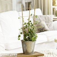 Windhager Rankgitter 32 x 85 cm, bambus Rankhilfen von Windhager