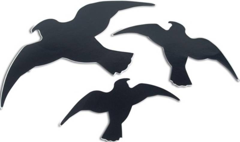 Windhager Sticker 20er Pack WINDHAGER 7116 Vogel-Silhouette Easy Sticker 3 Stück Windhager Sticker 20er Pack WINDHAGER 7116 Vogel-Silhouette Easy Sticker 3 Stück von Windhager