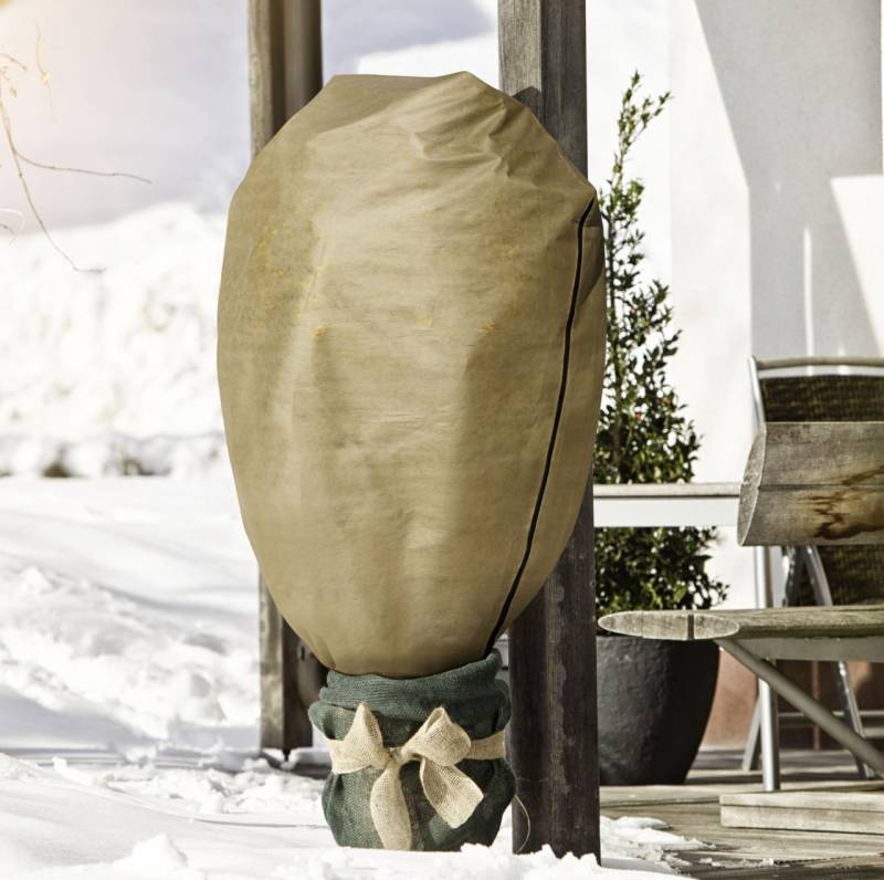 Windhager Vlieshaube Protect XL 1,1 x 1,1 m beige von Windhager