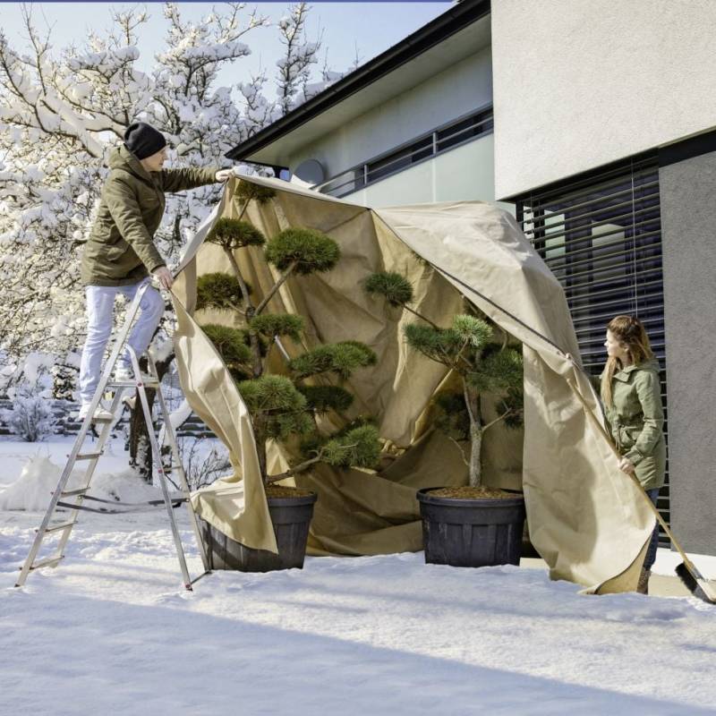 Windhager Vlieshaube Super-Protect XXXL 3,9 x 3,5 m, beige von Windhager