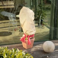 Windhager Winter-Vlies Super-Protect 3 x 1,5 m, beige Wintervlies von Windhager